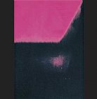 Andy Warhol Canvas Paintings - Shadows I